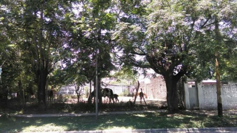 HERMOSO LOTE DE 340 M2. EN ZONA RESIDENCIAL,