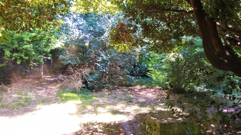 CASA QUINTA ESTILO COLONIAL