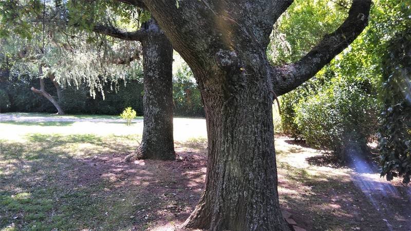 CASA QUINTA ESTILO COLONIAL