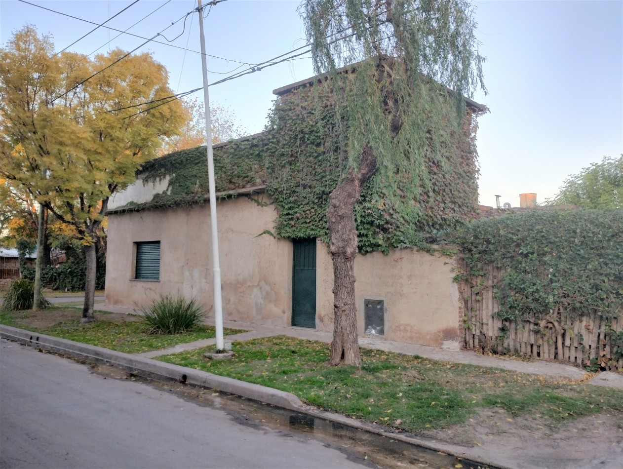 CASA 3 AMB. C/ LOCAL 100M2. (VILLA DE MAYO)