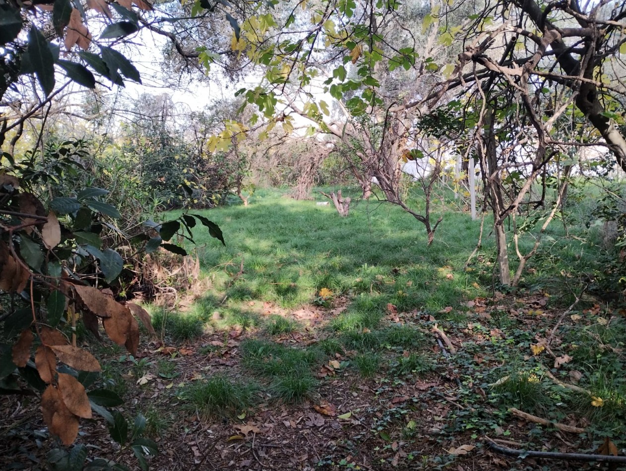 LOTE  2.000 M2.  (A  METROS  RUTA NAC. 197) ING. P. NOGUES 