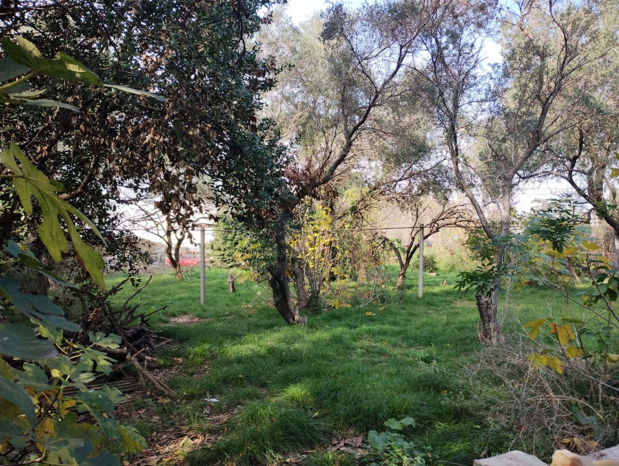 LOTE  2.000 M2.  (A  METROS  RUTA NAC. 197) ING. P. NOGUES 