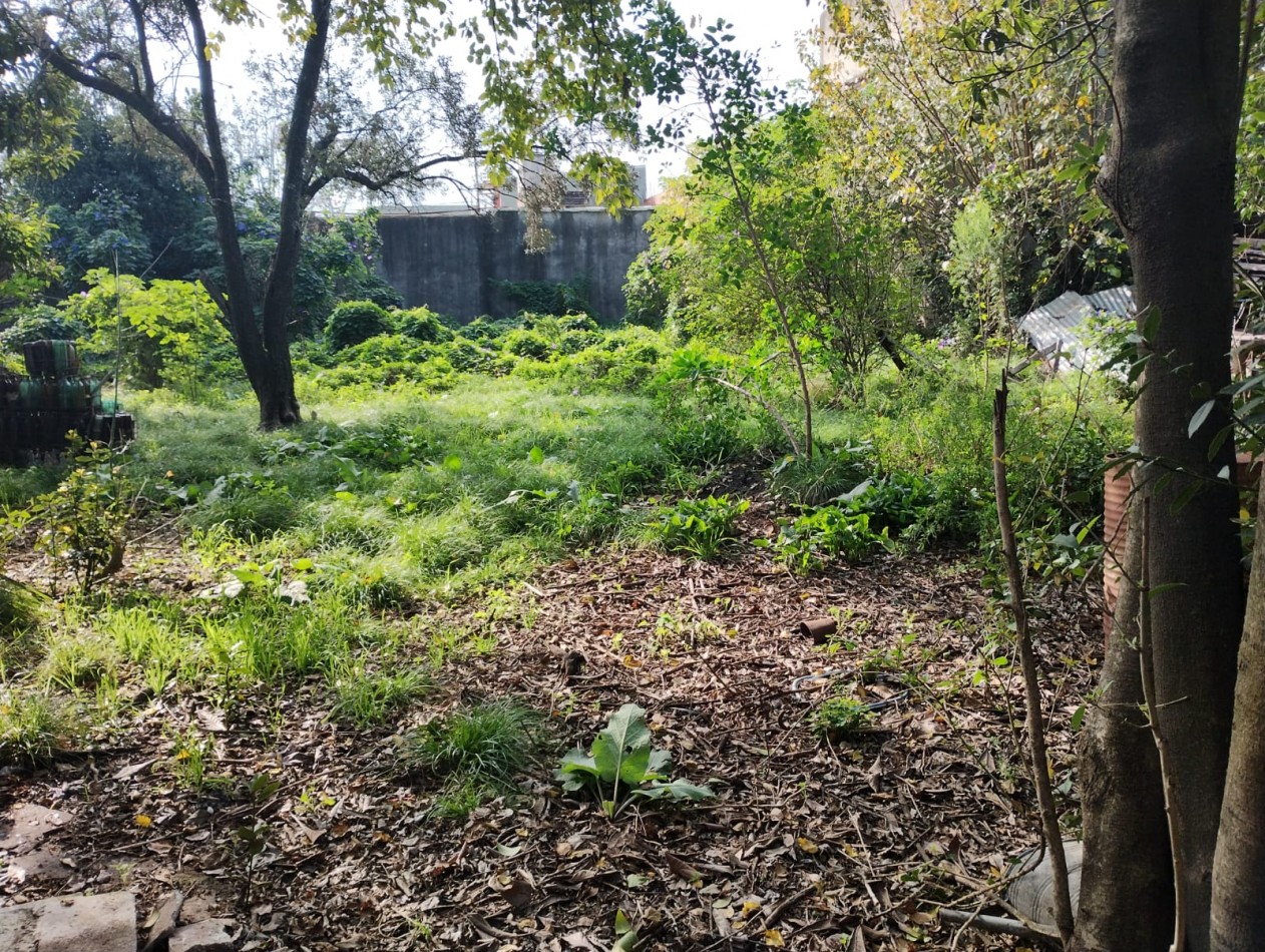 LOTE  2.000 M2.  (A  METROS  RUTA NAC. 197) ING. P. NOGUES 