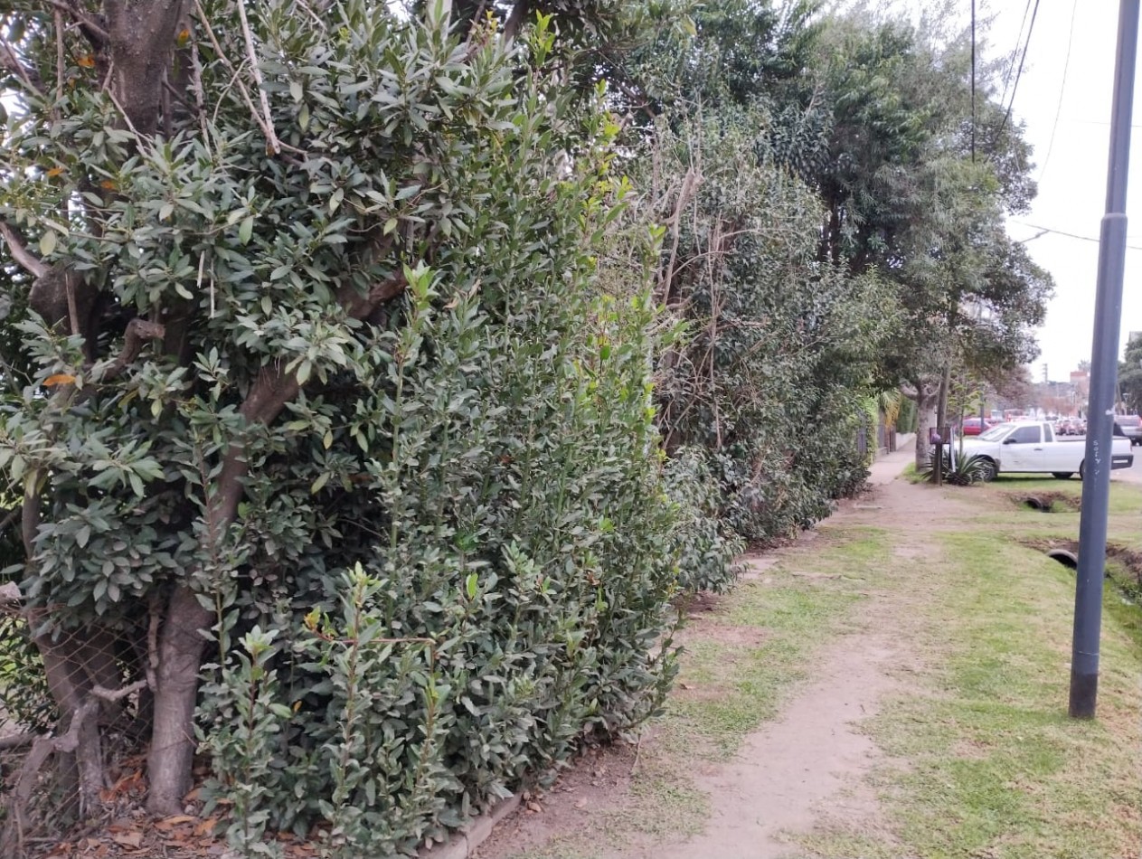 CASA   5 AMB.  1.663  M2. C/PISCINA (DON TORCUATO) 