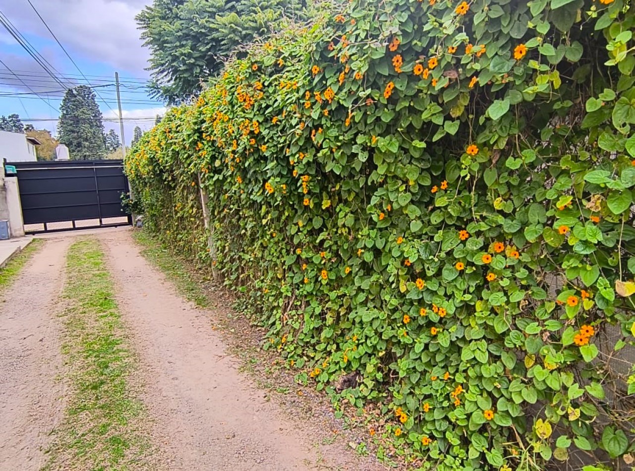 DEPARTAMENTO 3 AMB. AMPLIOS  C/BALCON Y COCHERA (COMPLEJO CERRADO)