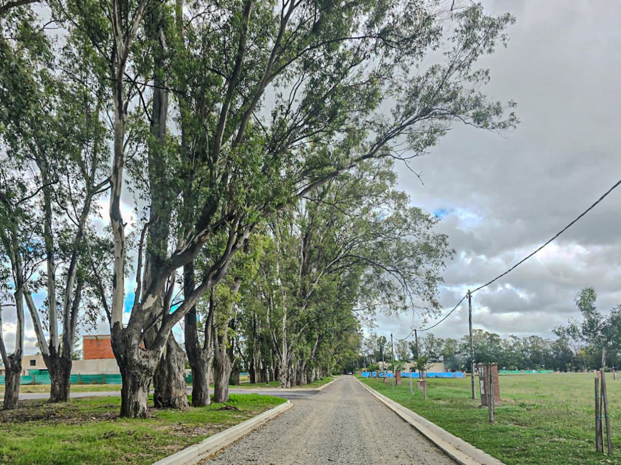 LOTE DE 580M2 EN PILAR DEL ESTE. BARRIO SANTA SOFIA.