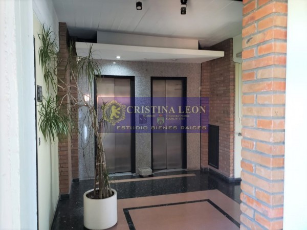  OFICINAS   20 m2. c/u  (SAN MIGUEL CTRO.)