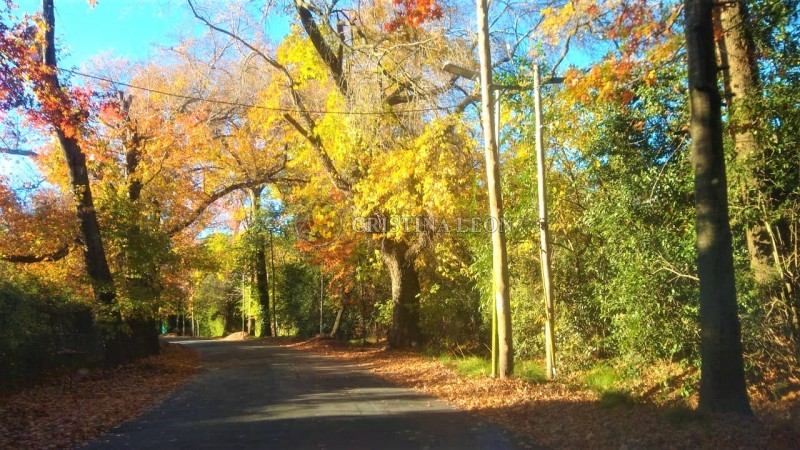 COUNTRY CUBA/ CASA DE VERANEO