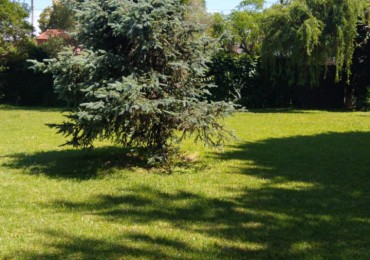 2 LOTES DE 400 M2 C/U