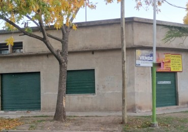 CASA 3 AMB. C/ LOCAL 100M2. (VILLA DE MAYO)
